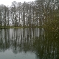 Juan Pablo Gomez Lattes