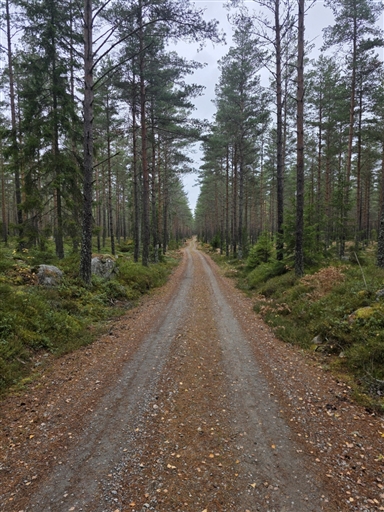 Bild uppladdad av Annica Kaufeldt