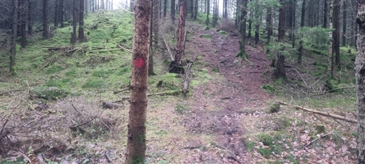 Bild uppladdad av Nicklas Nordborg