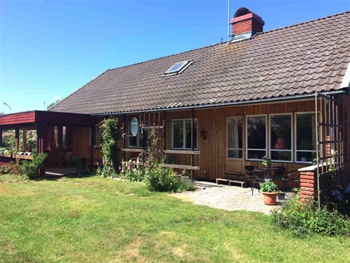 Bild uppladdad av Sofia 