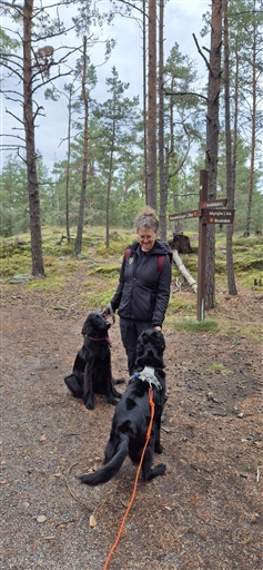 Bild uppladdad av Anna Elina Rönnbäck 