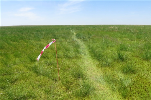 Bild uppladdad av Mats Dänsel