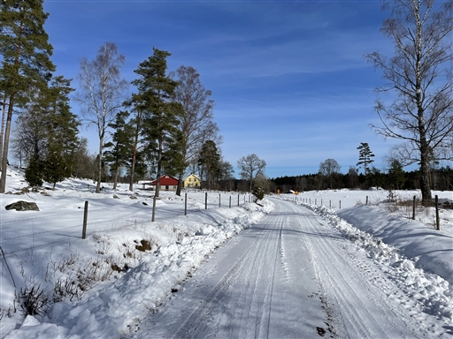 Bild uppladdad av Anonymiserad