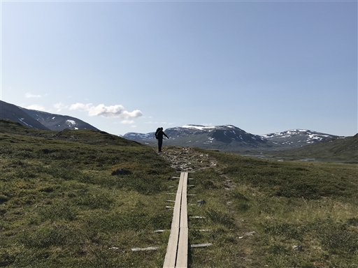 Bild uppladdad av Hobbylöparn