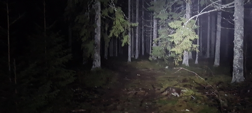 Bild uppladdad av Henrik Ortman