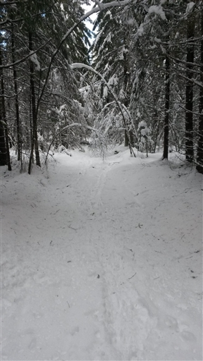 Bild uppladdad av Henrik Ortman