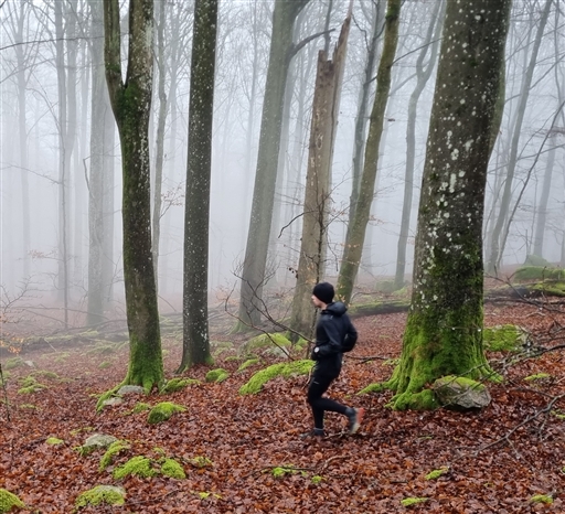 Bild uppladdad av Nicklas Nordborg