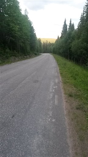 Bild uppladdad av Henrik Ortman