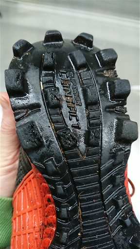 Bild uppladdad av Rakel Martinsson 