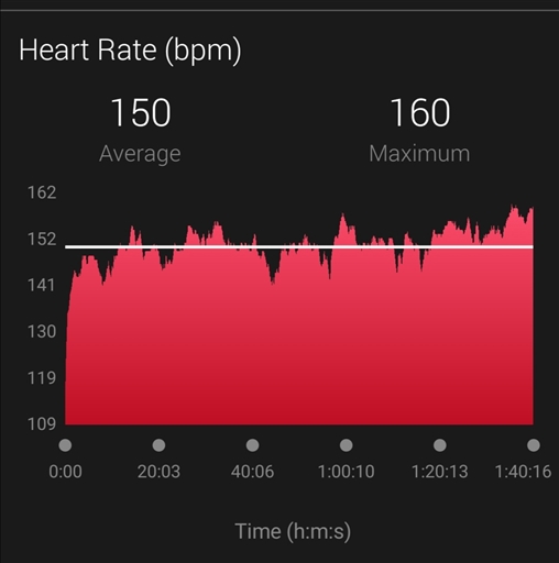 Bild uppladdad av Hui Zhao