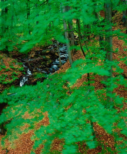 Bild uppladdad av Emma Jönsson