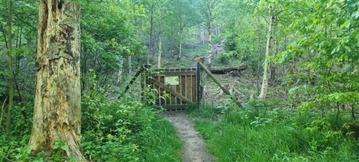 Bild uppladdad av Nicklas Nordborg