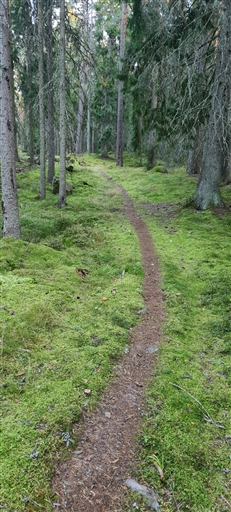 Bild uppladdad av Henrik Ortman