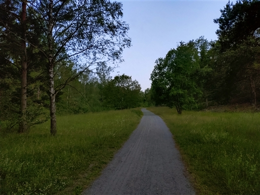 Bild uppladdad av Samuel