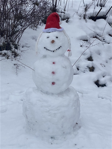 Bild uppladdad av Agneta Österman Lindquist