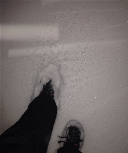 Bild uppladdad av Bengt