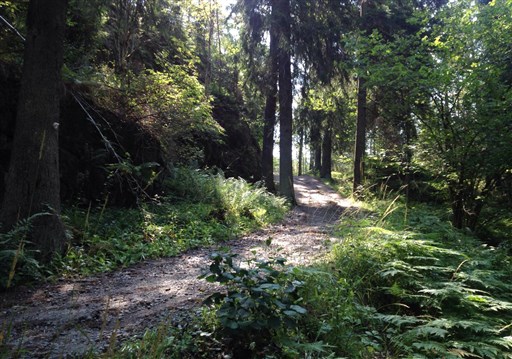 Bild uppladdad av Evald Ammerlind