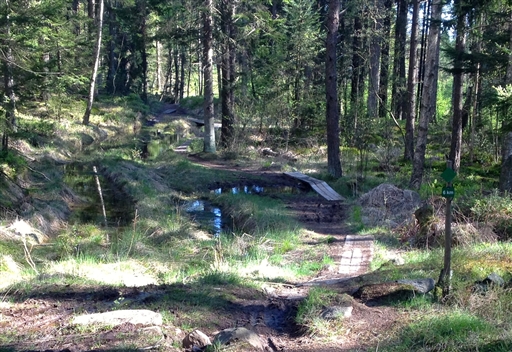 Bild uppladdad av Tony Elias