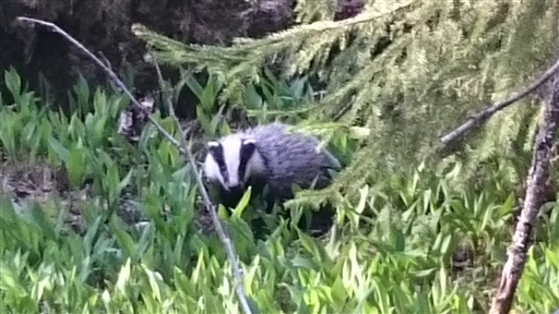 Bild uppladdad av Allie K