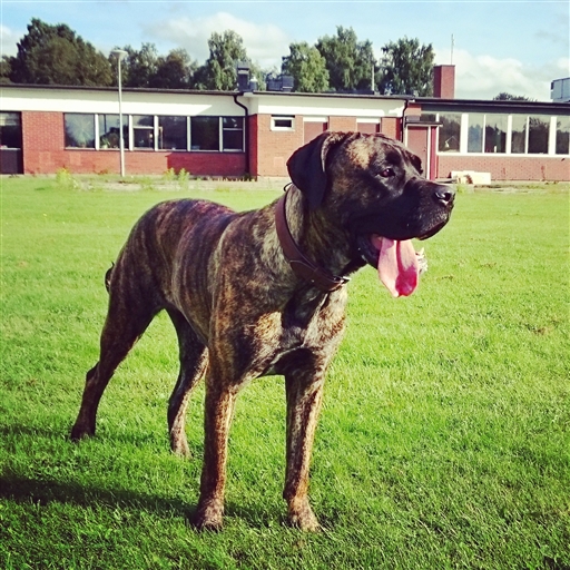 Bild uppladdad av Tob