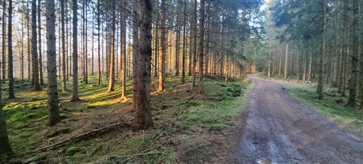 Bild uppladdad av Nicklas Nordborg