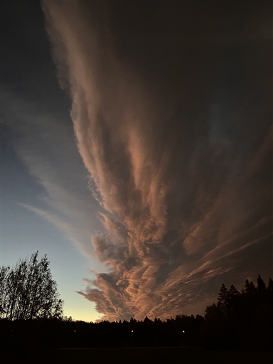 Bild uppladdad av Jenny Nilsson