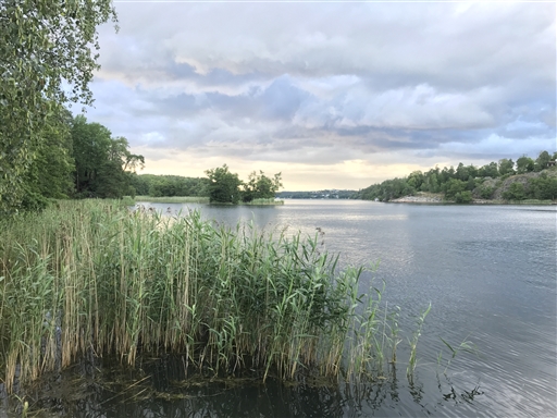 Bild uppladdad av Thomas Segerbrant