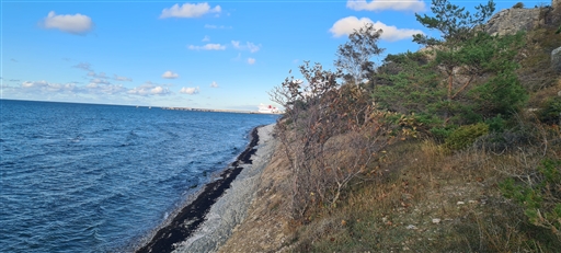 Bild uppladdad av Henrik Ortman