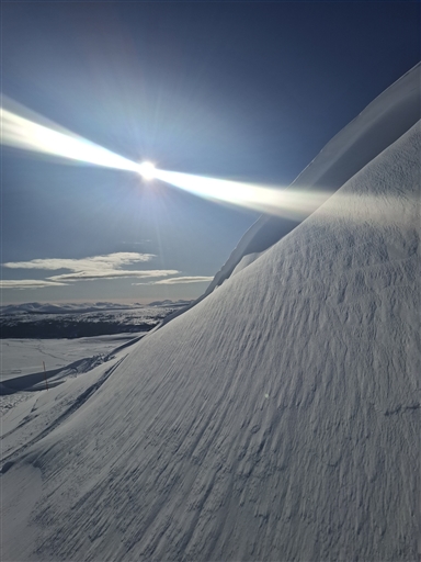 Bild uppladdad av Hans Persson