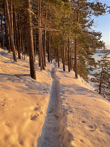 Bild uppladdad av Martin  