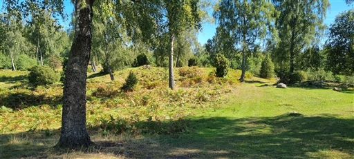 Bild uppladdad av Nicklas Nordborg