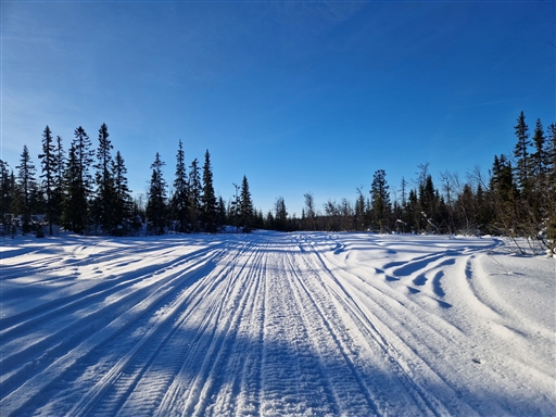 Bild uppladdad av Anna