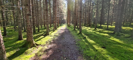 Bild uppladdad av Henrik Ortman