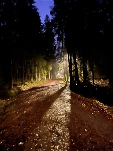 Bild uppladdad av Jenny Nilsson