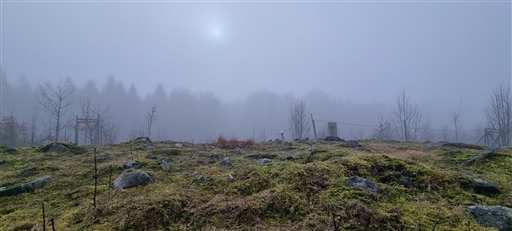 Bild uppladdad av Nicklas Nordborg