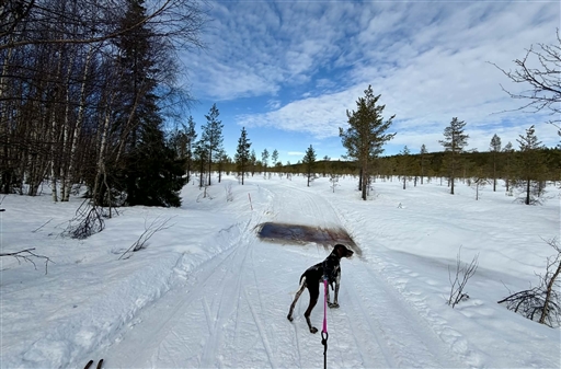 Morning Nordic Ski (Drag) 142 Hr/m