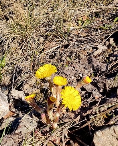 Bild uppladdad av Nicklas Nordborg