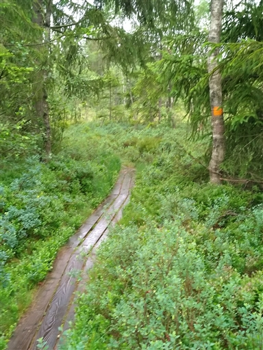 Bild uppladdad av Nicklas Nordborg