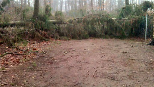 Bild uppladdad av Susann Tångeryd