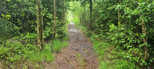 Bild uppladdad av Nicklas Nordborg