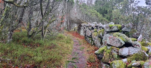 Bild uppladdad av Nicklas Nordborg