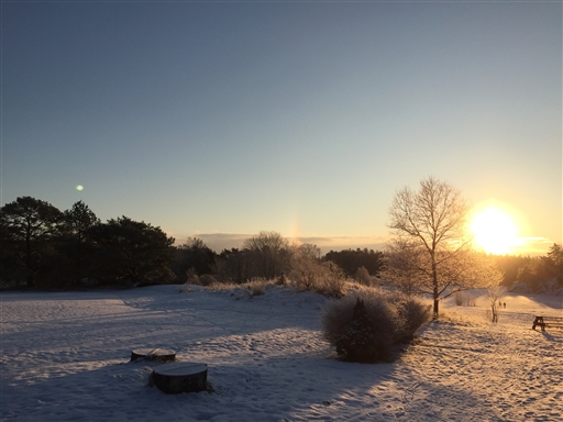 Bild uppladdad av Maria Dahlberg