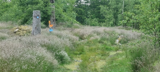 Bild uppladdad av Nicklas Nordborg