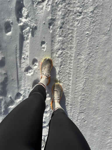 Bild uppladdad av Maria Petersson