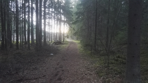 Bild uppladdad av Henrik Ortman