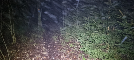 Bild uppladdad av Nicklas Nordborg