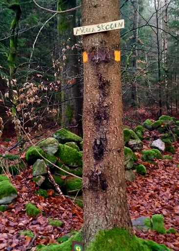 Bild uppladdad av Nicklas Nordborg