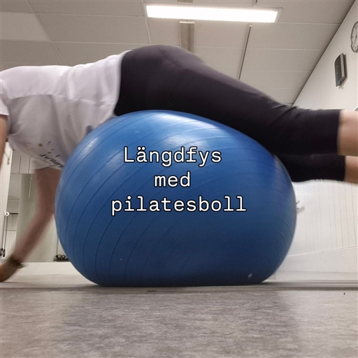 Bild uppladdad av Anna Elina Rönnbäck 