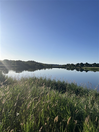 Bild uppladdad av Maria Petersson