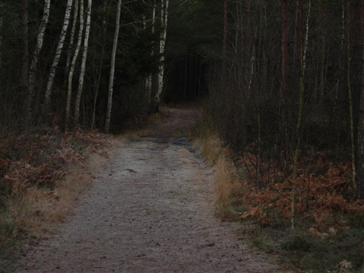 Bild uppladdad av Kjell-Otto Ojanen